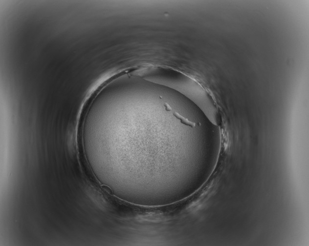 X0000086740196200704201712