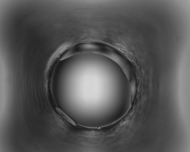 X0000086740197200704201712