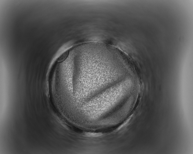 X0000086740198200704201712