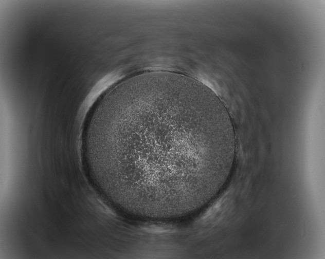 X0000086740199200704201712