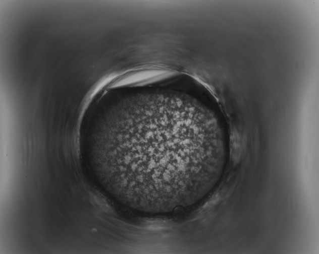 X0000086740200200704201712