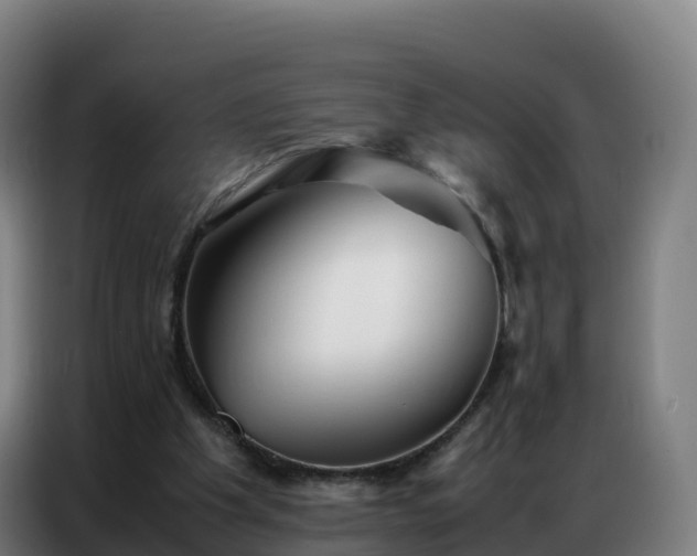 X0000086740201200704201712