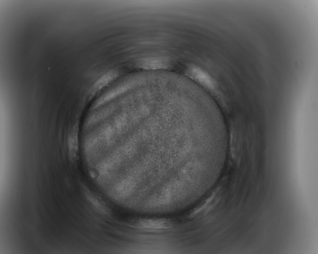 X0000086740202200704201712