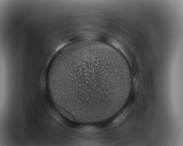 X0000086740203200704201712