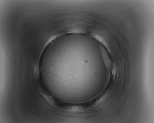 X0000086740204200704201712