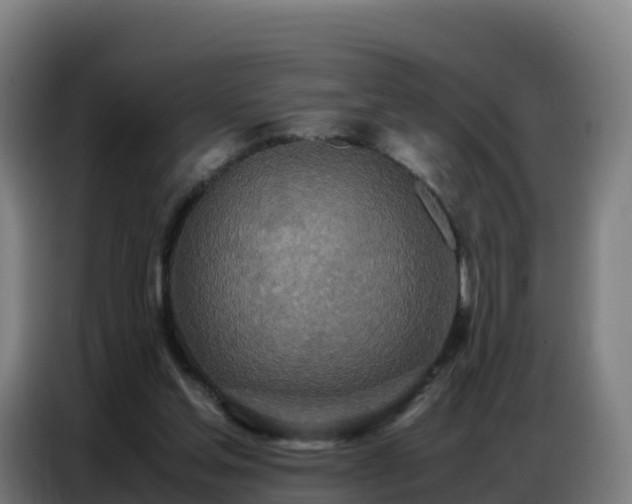 X0000086740205200704201712