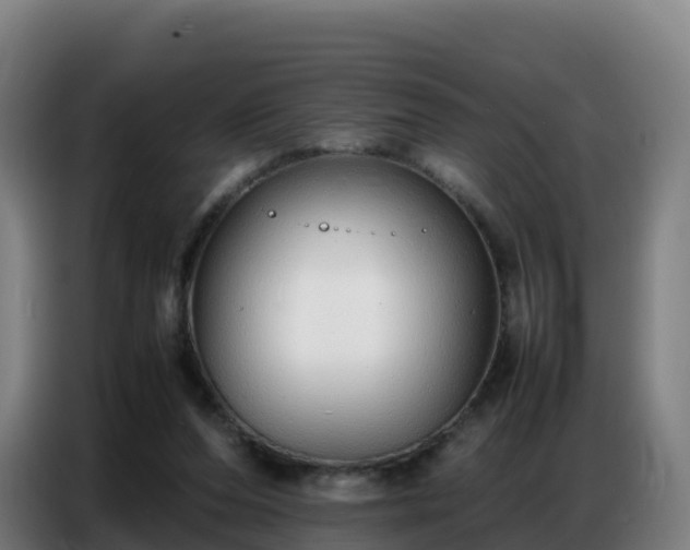 X0000086740208200704201712