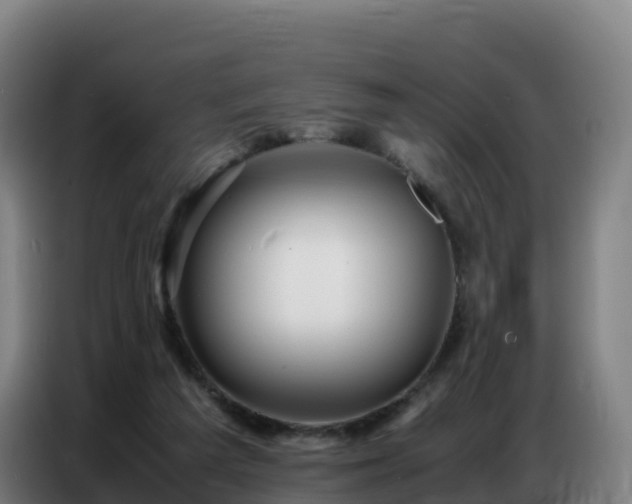 X0000086740209200704201712