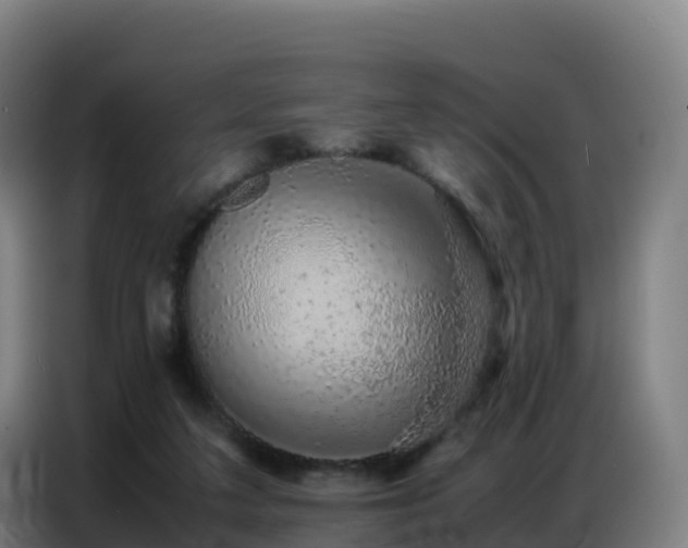 X0000086740211200704201712