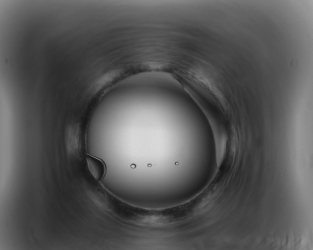 X0000086740212200704201712