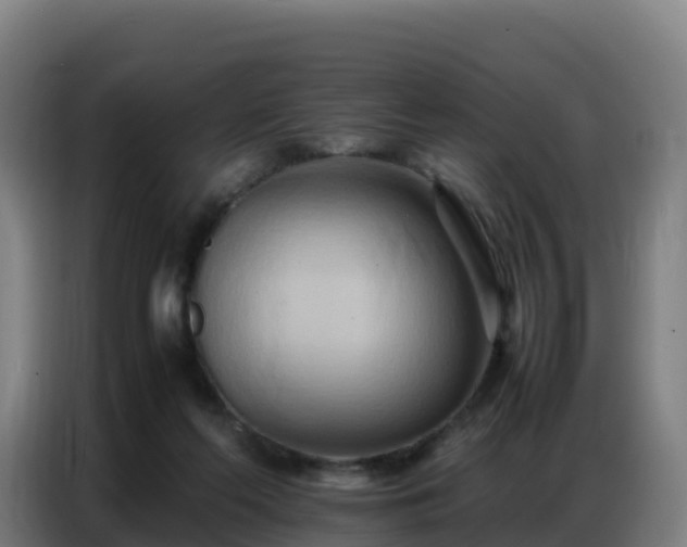 X0000086740214200704201712