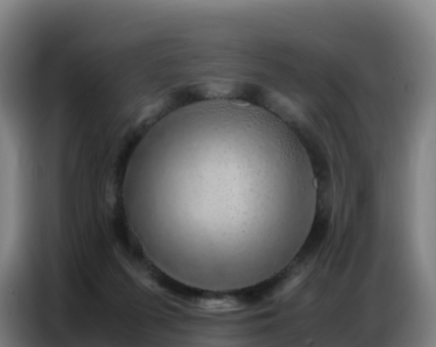 X0000086740215200704201712