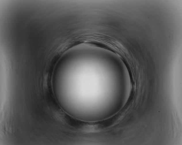 X0000086740217200704201712