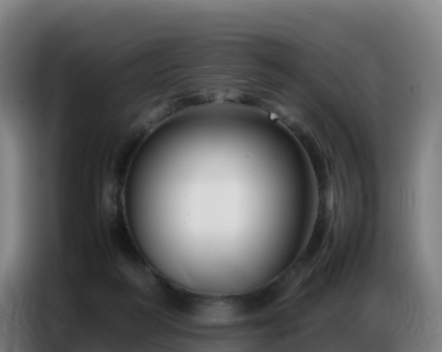 X0000086740218200704201712