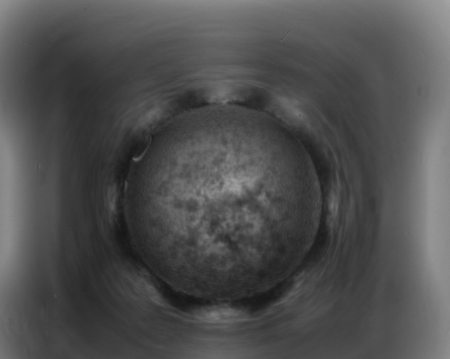 X0000086740219200704201712