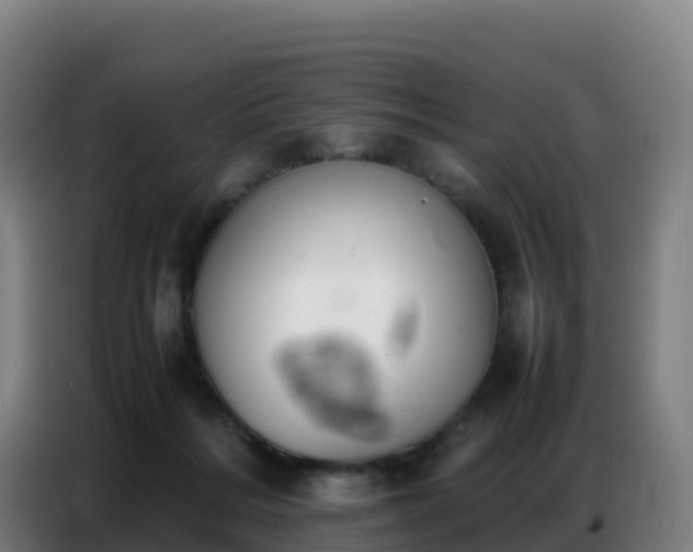 X0000086740220200704201712