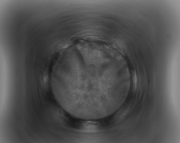 X0000086740222200704201712