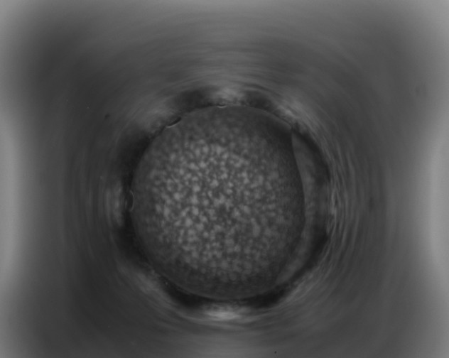 X0000086740223200704201712