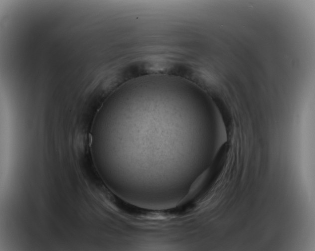 X0000086740227200704201712