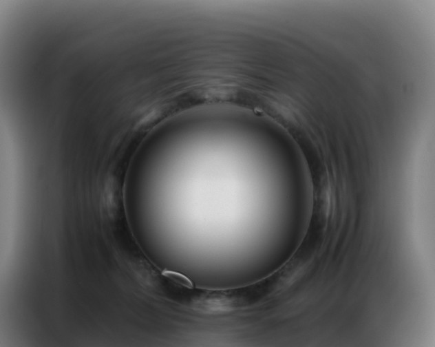 X0000086740228200704201712