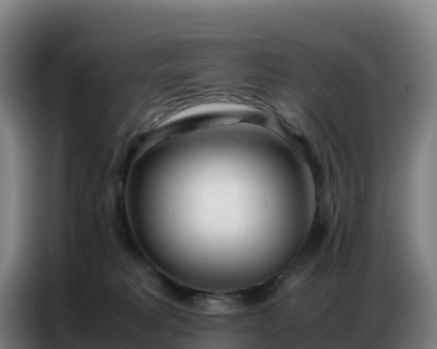 X0000086740229200704201712