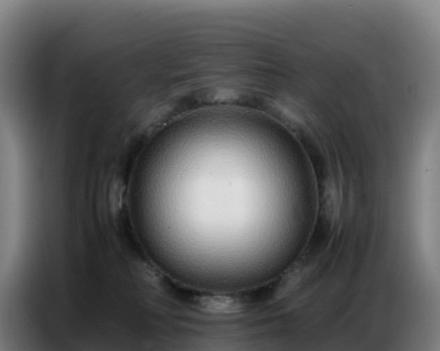 X0000086740230200704201712