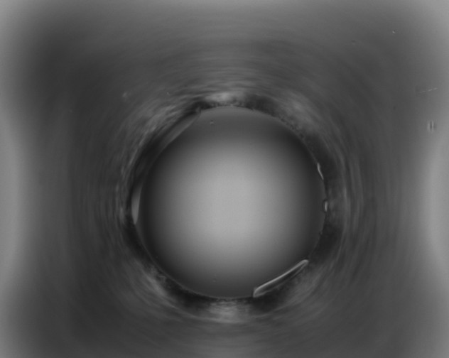 X0000086740231200704201712