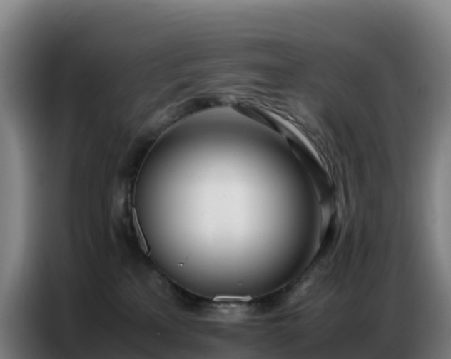 X0000086740233200704201712