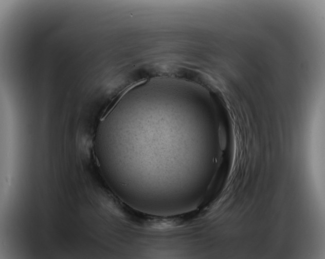 X0000086740235200704201712