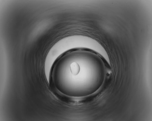 X0000086740239200704201712