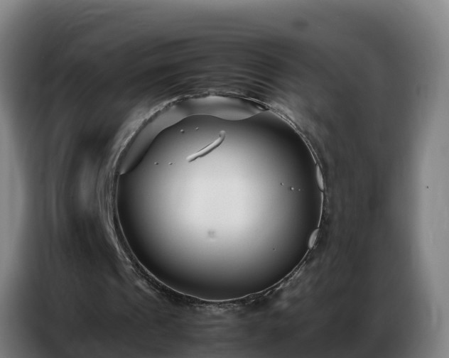 X0000086740241200704201711