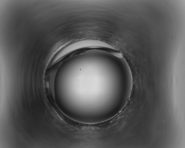 X0000086740242200704201711