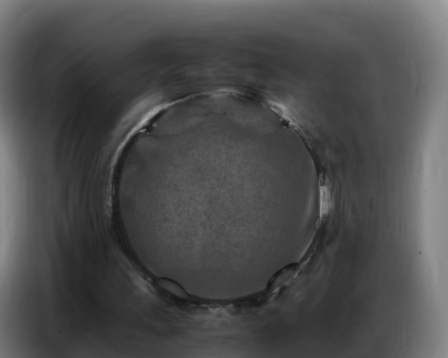 X0000086740243200704201711