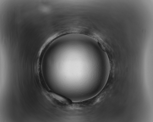 X0000086740244200704201711