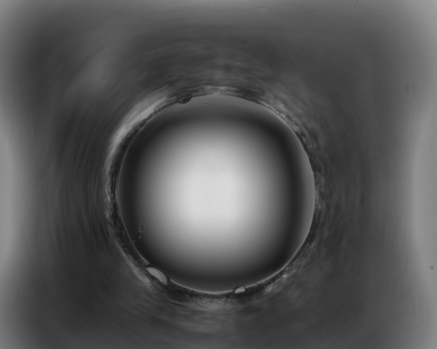 X0000086740245200704201711