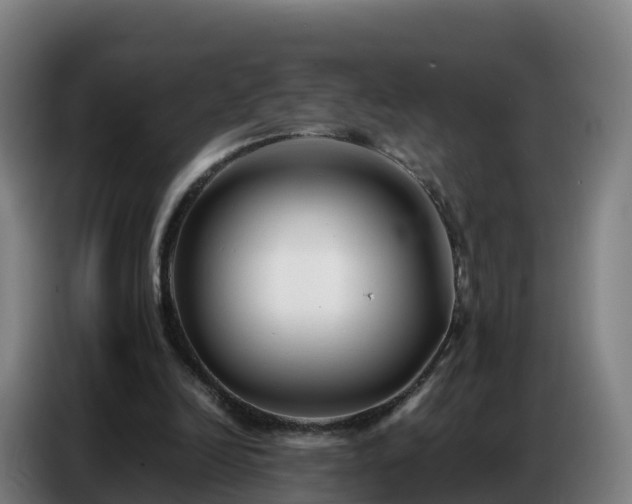 X0000086740246200704201711