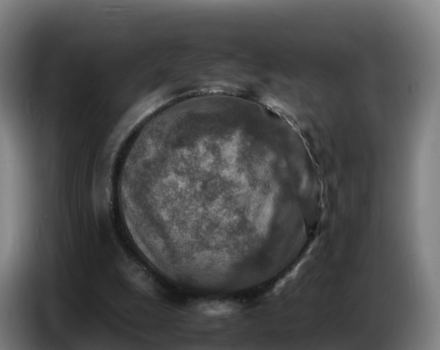 X0000086740247200704201711