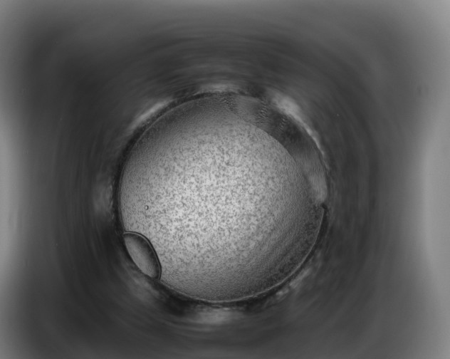 X0000086740249200704201711