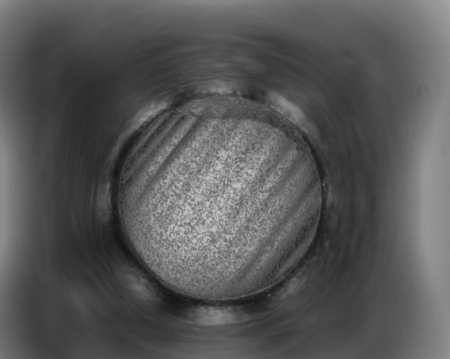 X0000086740250200704201711