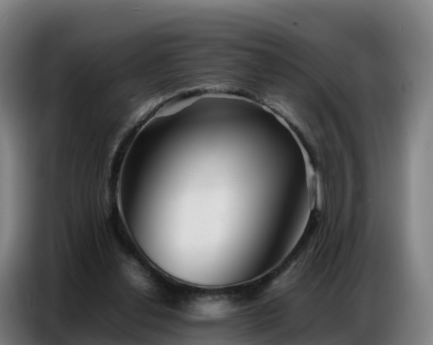 X0000086740252200704201711