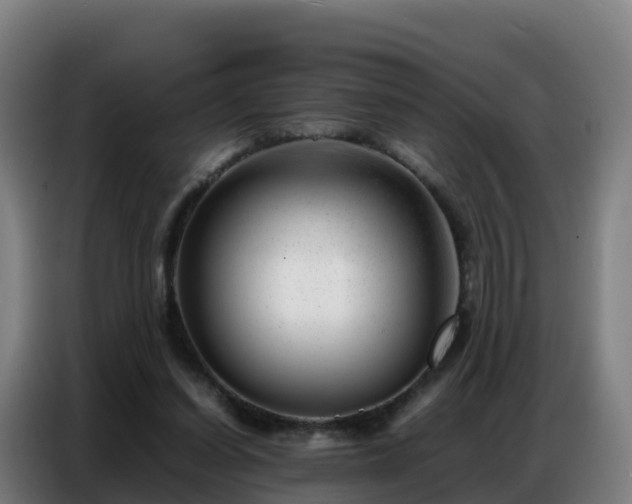 X0000086740254200704201711