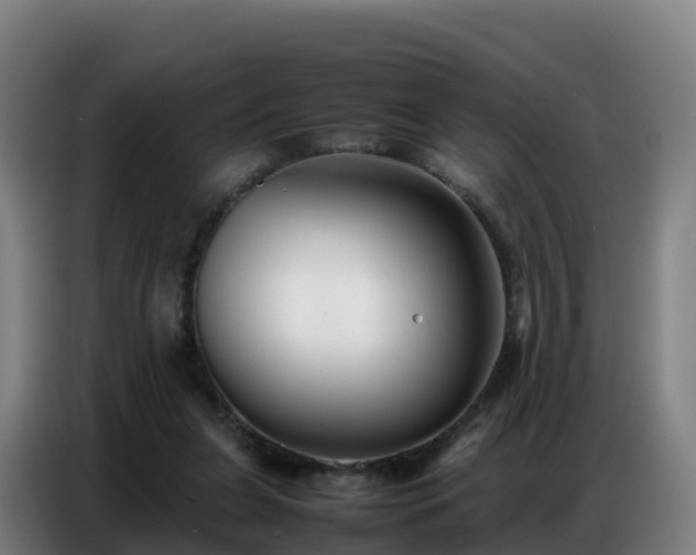 X0000086740255200704201711