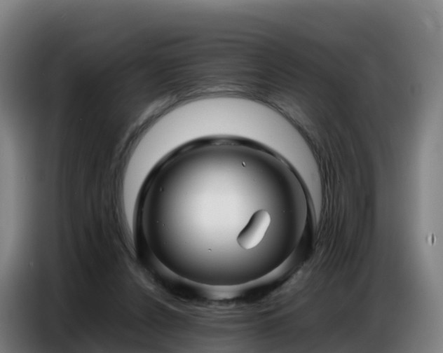 X0000086740256200704201711