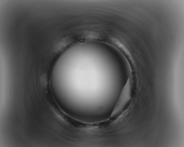 X0000086740257200704201711