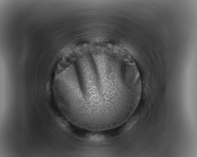 X0000086740258200704201711