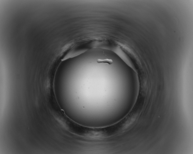 X0000086740260200704201711