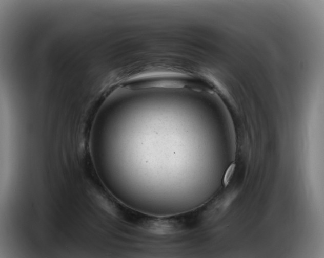 X0000086740261200704201711