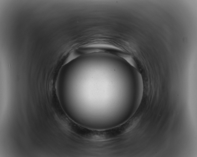 X0000086740263200704201711