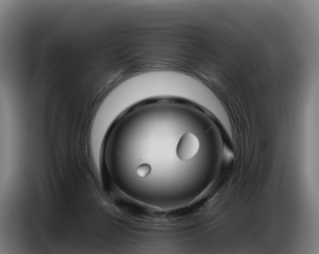 X0000086740264200704201711