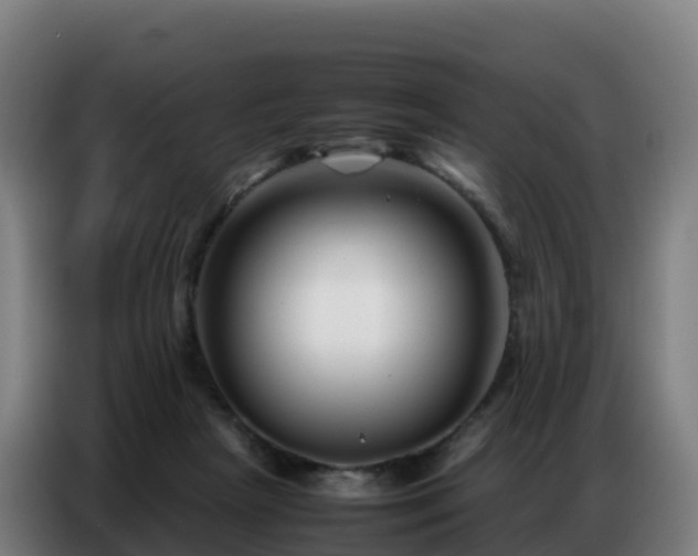 X0000086740265200704201711